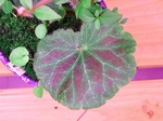 szk070522 021.01.jpg