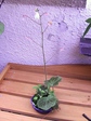 szk070522 022.01.jpg