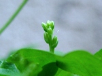 szk070522 025.01.jpg