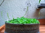 szk070522 026.01.jpg