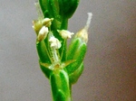 szk070522 028.01.jpg