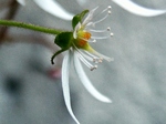 szk070524 002.01.jpg