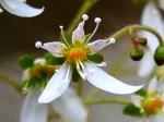 szk070524 005.01.jpg