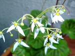 szk070524 008.01.jpg