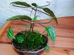 szk070528 003.01.jpg