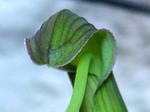 szk070528 007.01.jpg