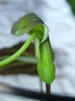 szk070528 008.01.jpg
