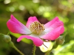 szk070528 014.01.jpg