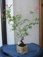 szk070528 017.01.jpg