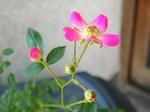 szk070528 019.01.jpg