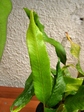szk070531 014.01.jpg