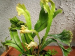 szk070531 021.01.jpg