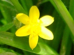 szk070602 006.01.jpg