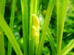 szk070602 008.01.jpg