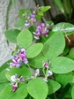 szk070606 007.01.jpg