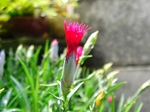 szk070612 007.01.jpg