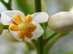 szk070615 002.01.jpg