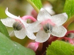 szk070621 001.01.jpg