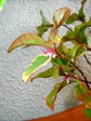 szk070621 006.01.jpg