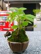 szk070621 009.01.jpg