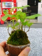 szk070621 012.01.jpg