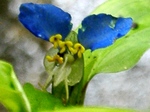 szk070625 012.01.jpg