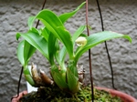 szk070626 011.01.jpg