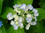 szk070626 014.01.jpg