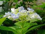 szk070626 015.01.jpg