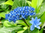 szk070626 018.01.jpg