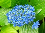 szk070626 019.01.jpg