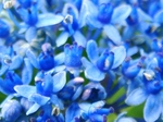 szk070626 022.01.jpg