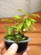 szk070626 027.01.jpg