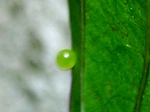 szk070629 002.01.jpg