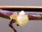 szk070629 003.01.jpg