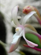 szk070702 011.01.jpg
