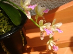 szk070703 021.01.jpg