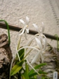 szk070705 008.01.jpg