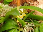 szk070709 008.01.jpg
