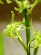 szk070709 020.01.jpg