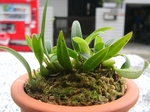 szk070711 003.01.jpg