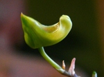 szk070713 011.01.jpg