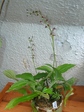 szk070715 005.01.jpg