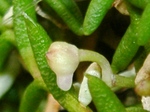 szk070715 020.01.jpg