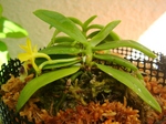 szk070715 027.01.jpg