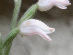 szk070720 004.01.jpg