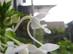 szk070723 005.01.jpg