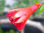 szk070724 004.01.jpg