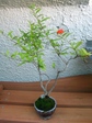 szk070724 006.01.jpg