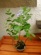 szk070725 007.01.jpg